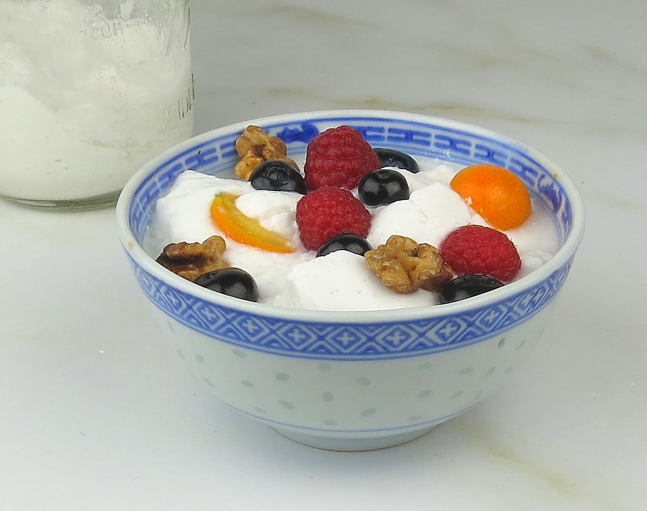 Homemade Coconut Yogurt – Jane's Healthy Kitchen