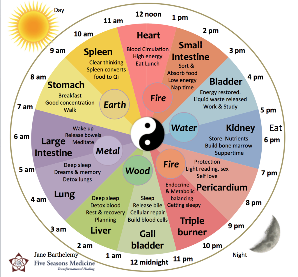 My Paleo Meridian Weight Loss System