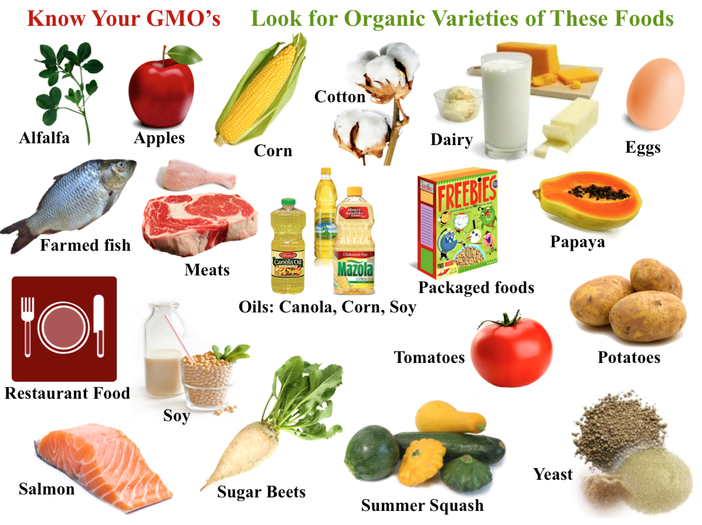 Avoiding GMO’s? Here’s a Guide. Jane's Healthy Kitchen