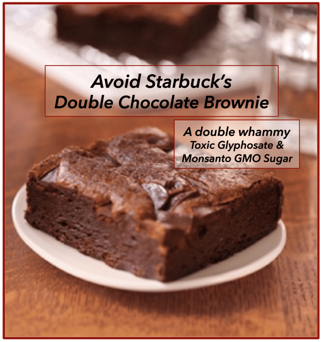 Avoid Starbucks Double Chocolate Brownie with Monsanto GMO