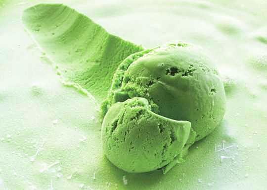 Paleo Mint Grasshopper Ice Cream – Jane's Healthy Kitchen