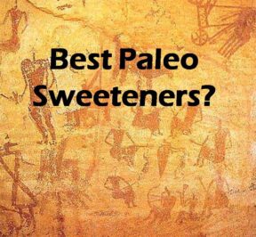 Best-Paleo-Sweeteners
