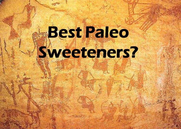 Best-Paleo-Sweeteners