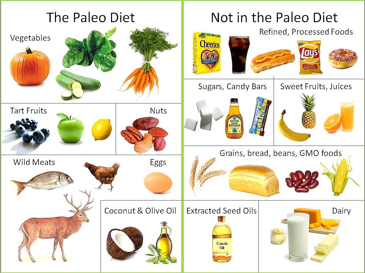 Paleo Diet Weight Loss Chart