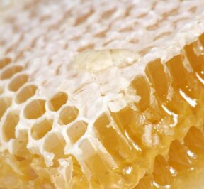 honey-honeycomb