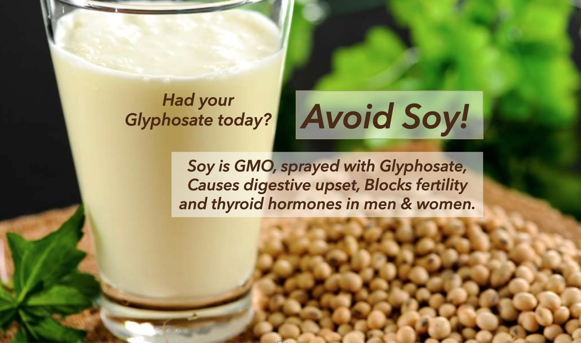 Avoid Soy GMO Toxic Indigestible Jane s Healthy Kitchen