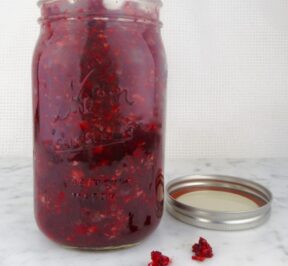 fermented-cranberry-relish