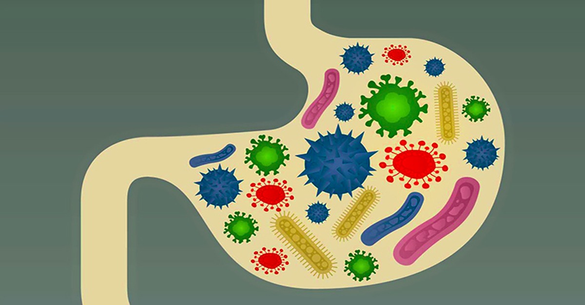 healthy-gut-bacteria