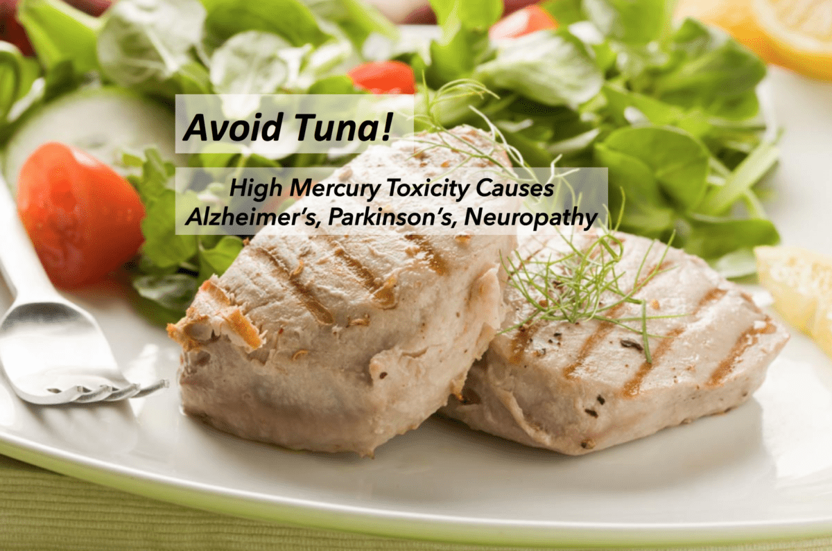Avoid Tuna, Mercury & Alzheimer’s Risk Jane's Healthy Kitchen