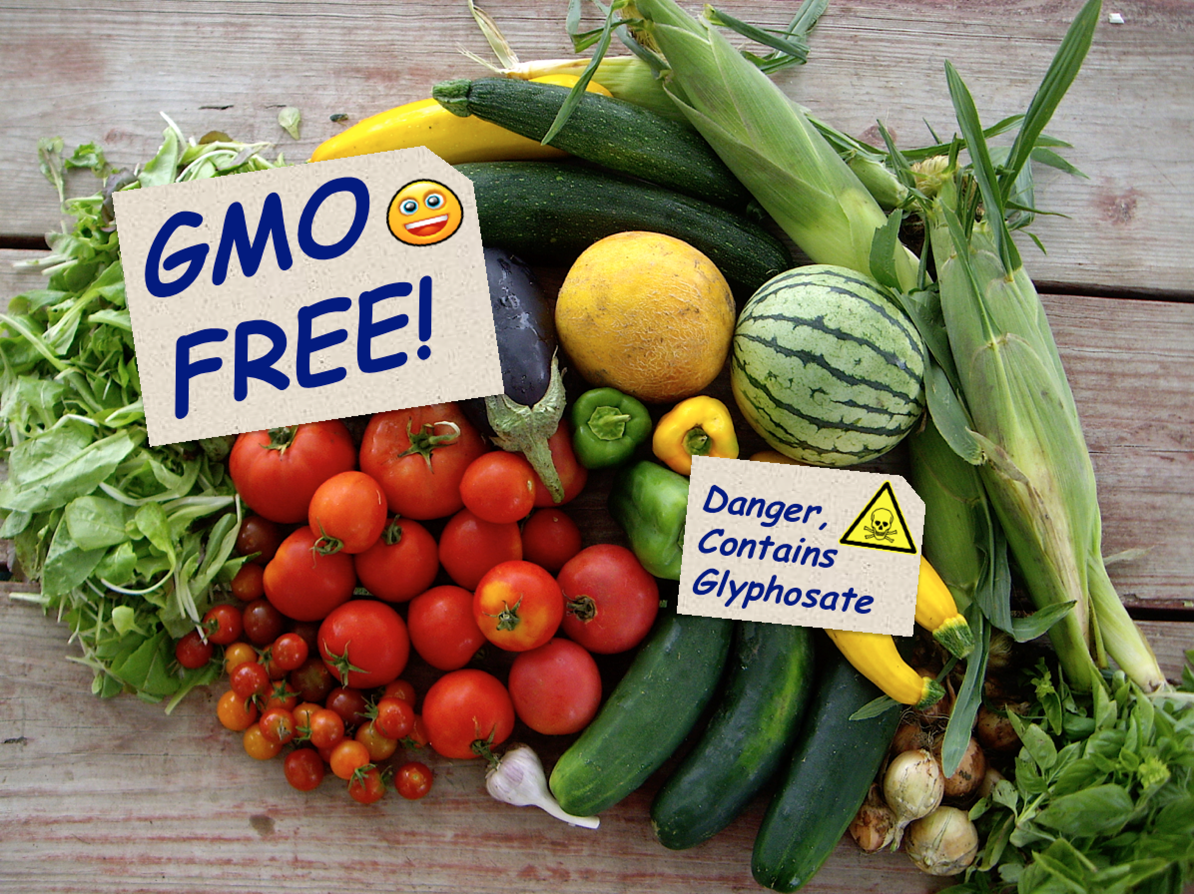 Is GMO-free Safe to Eat? NO! Many non-GMO foods harvested with ...