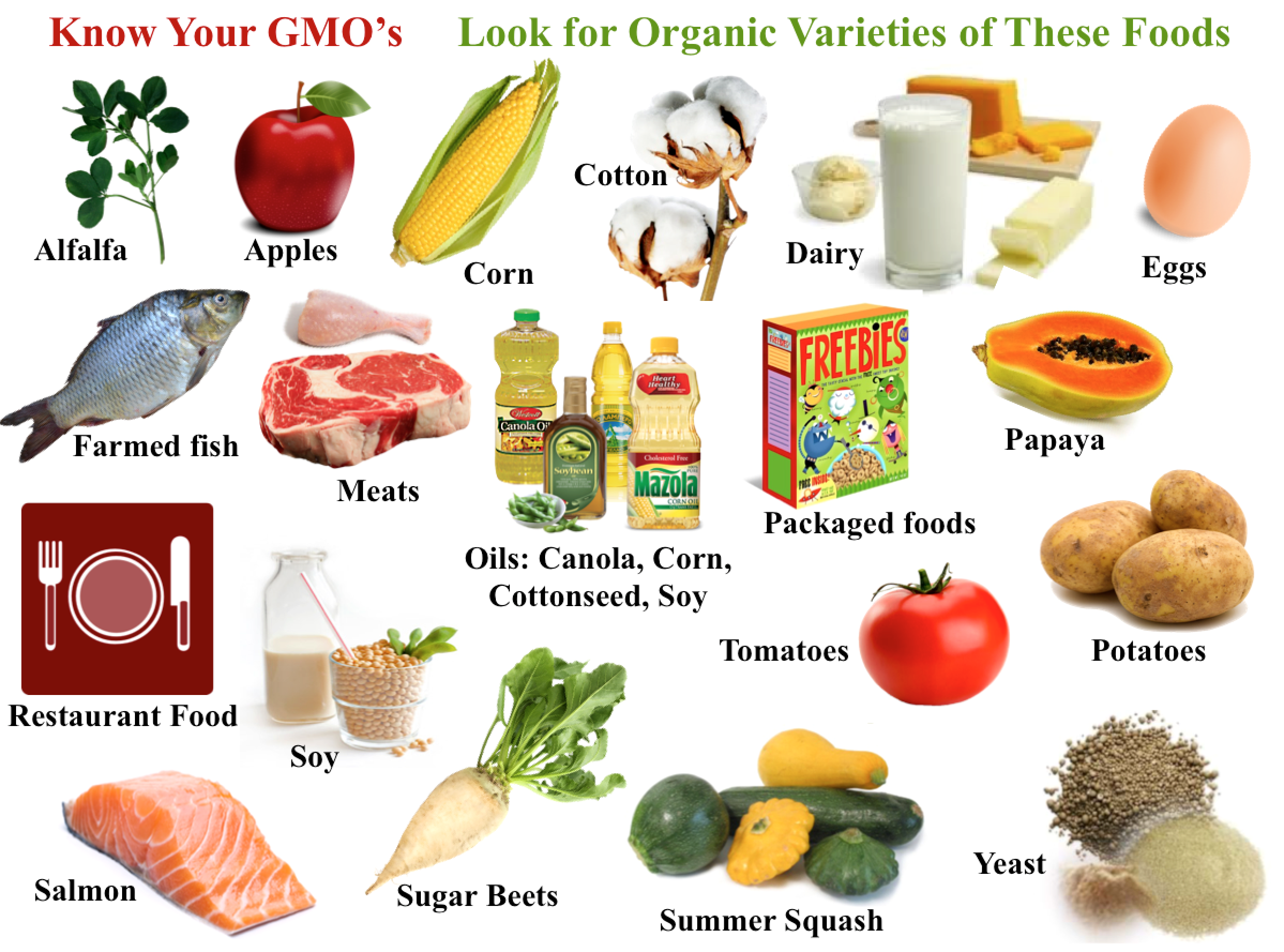 Organic and non organic food презентация