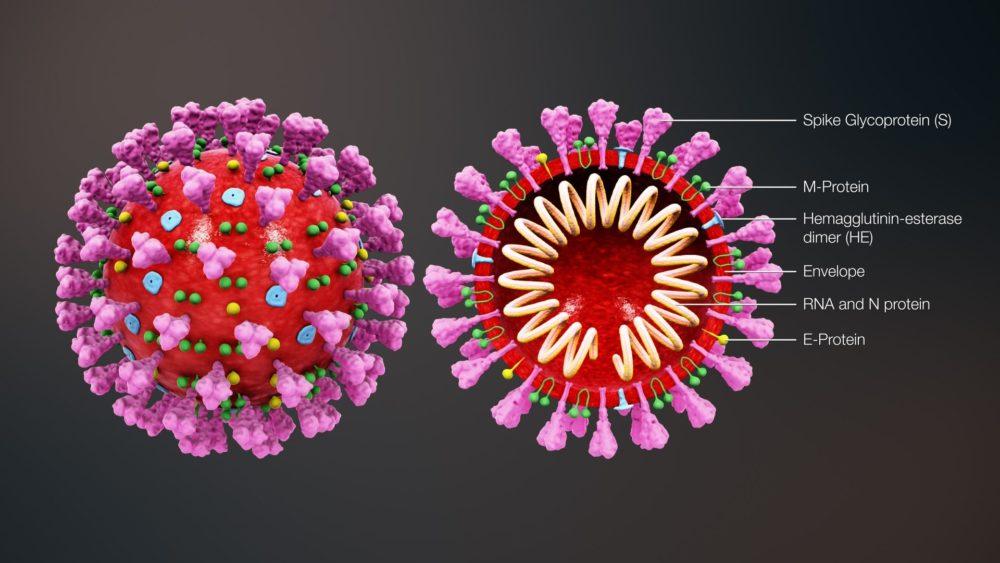 Coronavirus Precautionary Measures Jane S Healthy Kitchen