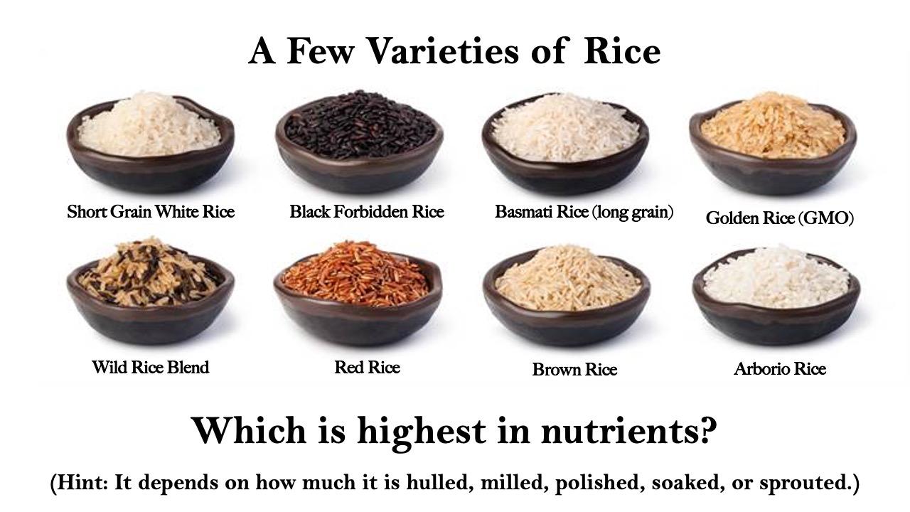 Dark Sprouted Rice, Superior Nutrition Food for Humans