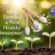 Help Develop a New Healthy Sweetener!