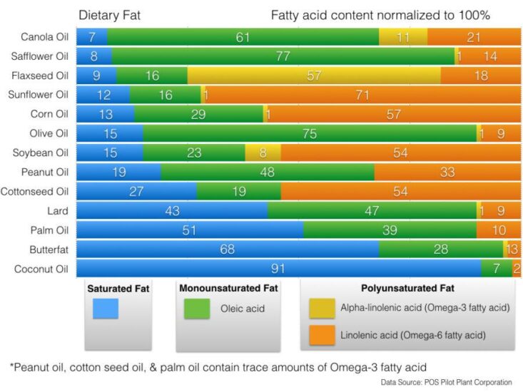 AVOID Top 3 Foods of Inflammation & Heart Disease Jane's Healthy Kitchen