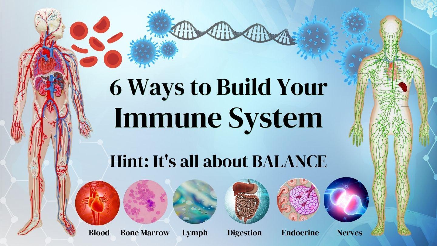 6 Ways To Build Your IMMUNE System Jane s Healthy Kitchen
