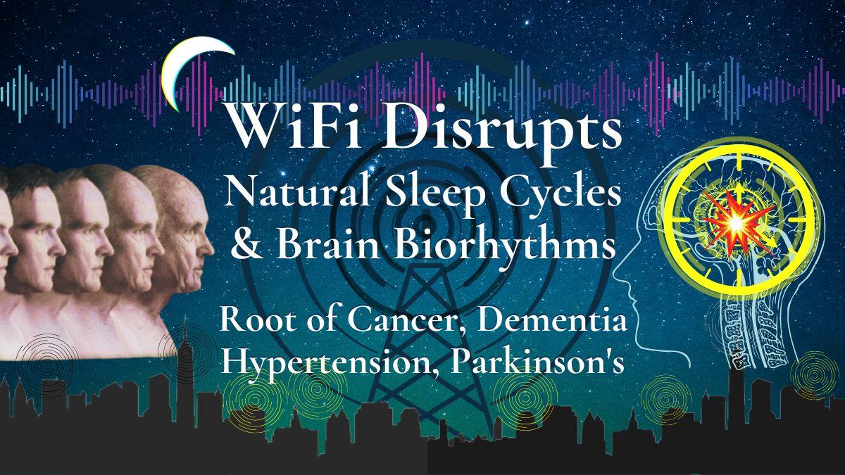 WiFi Disrupts Natural Sleep Cycles & Brain Biorhythms Jane's Healthy