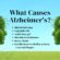 What Causes Alzheimer’s?